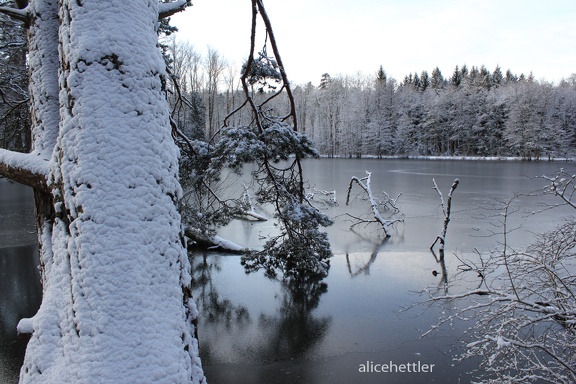 Bärensee